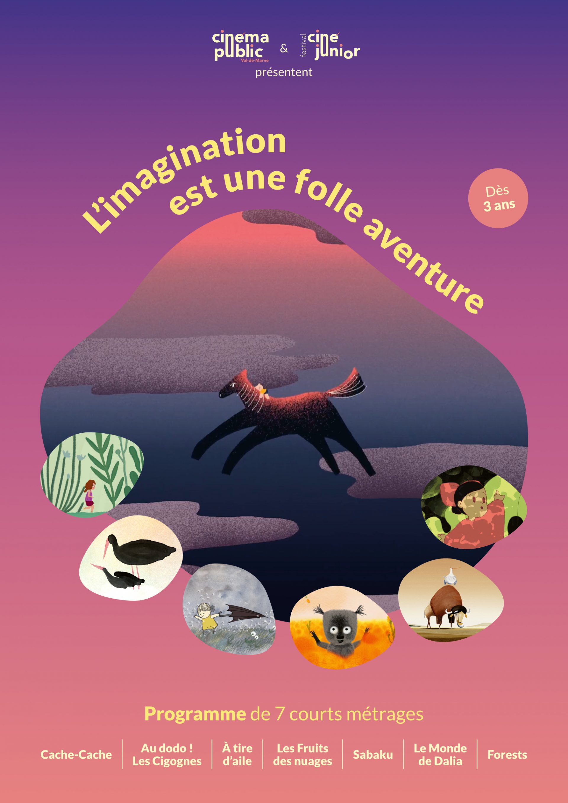« L’imagination est une folle aventure »