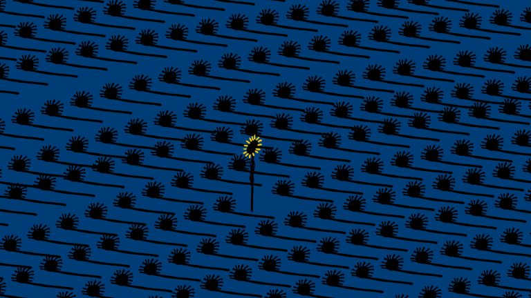 Programmes en diffusion